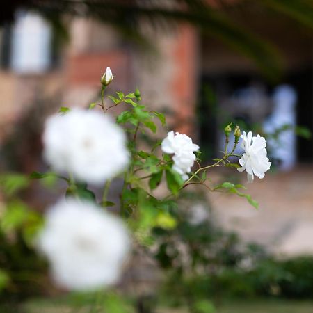 Villa Rappis Imperia Exterior foto